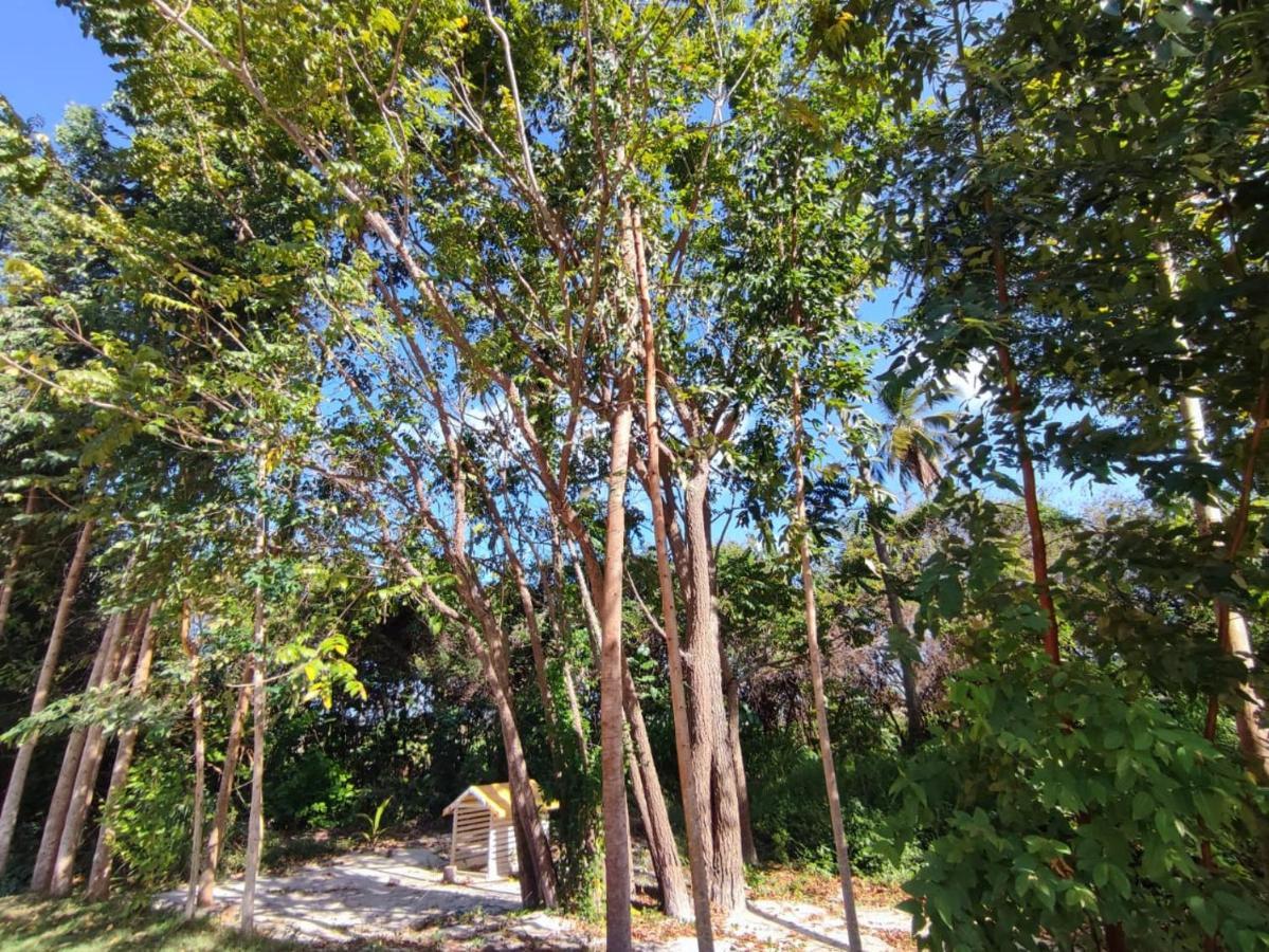 Casa Nova 2 Villa São José da Coroa Grande Exterior photo